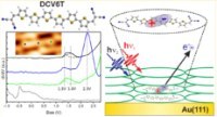 Graphical abstract: Electronic States and Exciton Dynamics in Dicyanovinyl-Sexithiophene on Au(111)